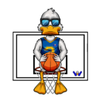Home 9 golfur5---DUCK-ON-RIM (1)