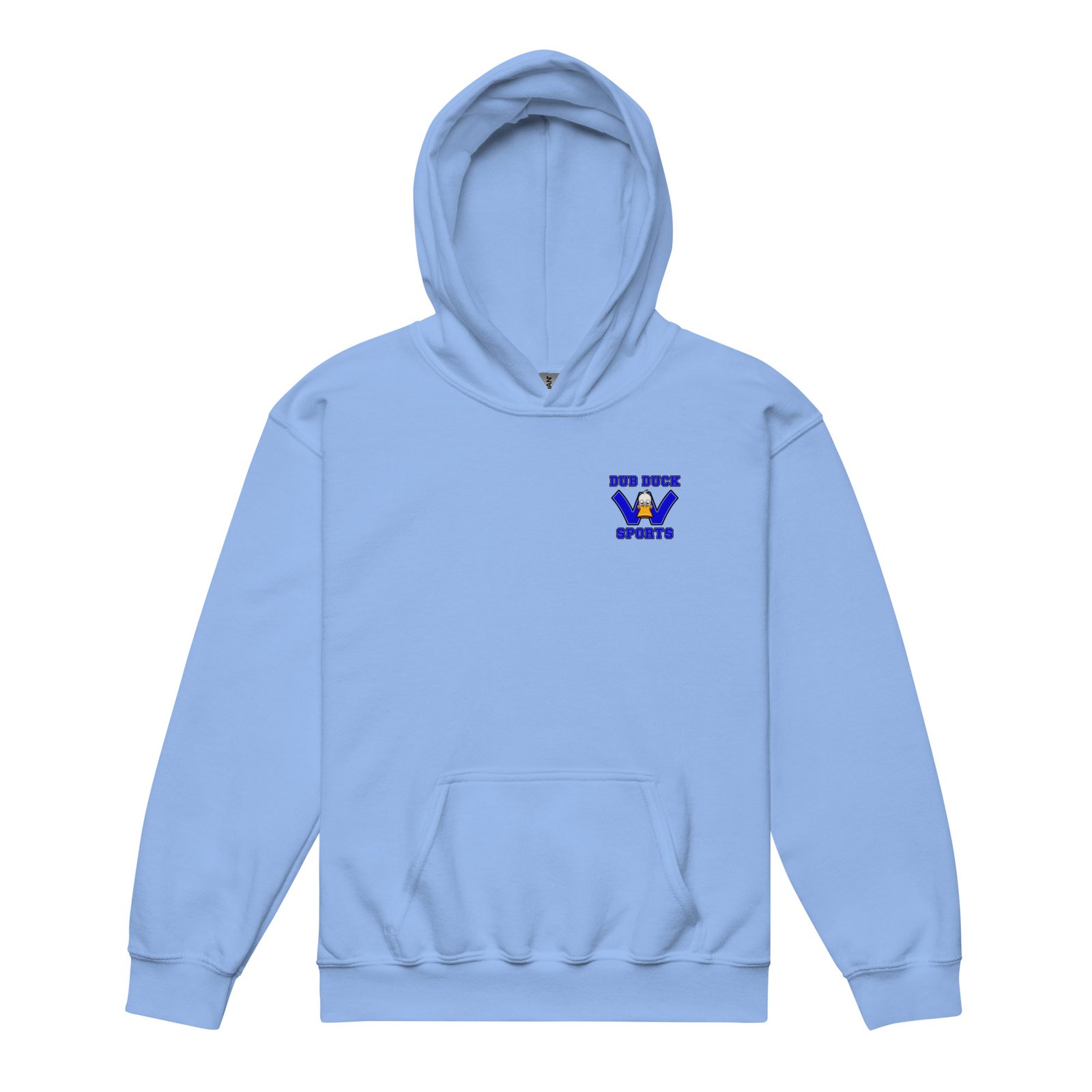 youth-heavy-blend-hoodie-carolina-blue-front-68dfec6ed8e2f.jpg