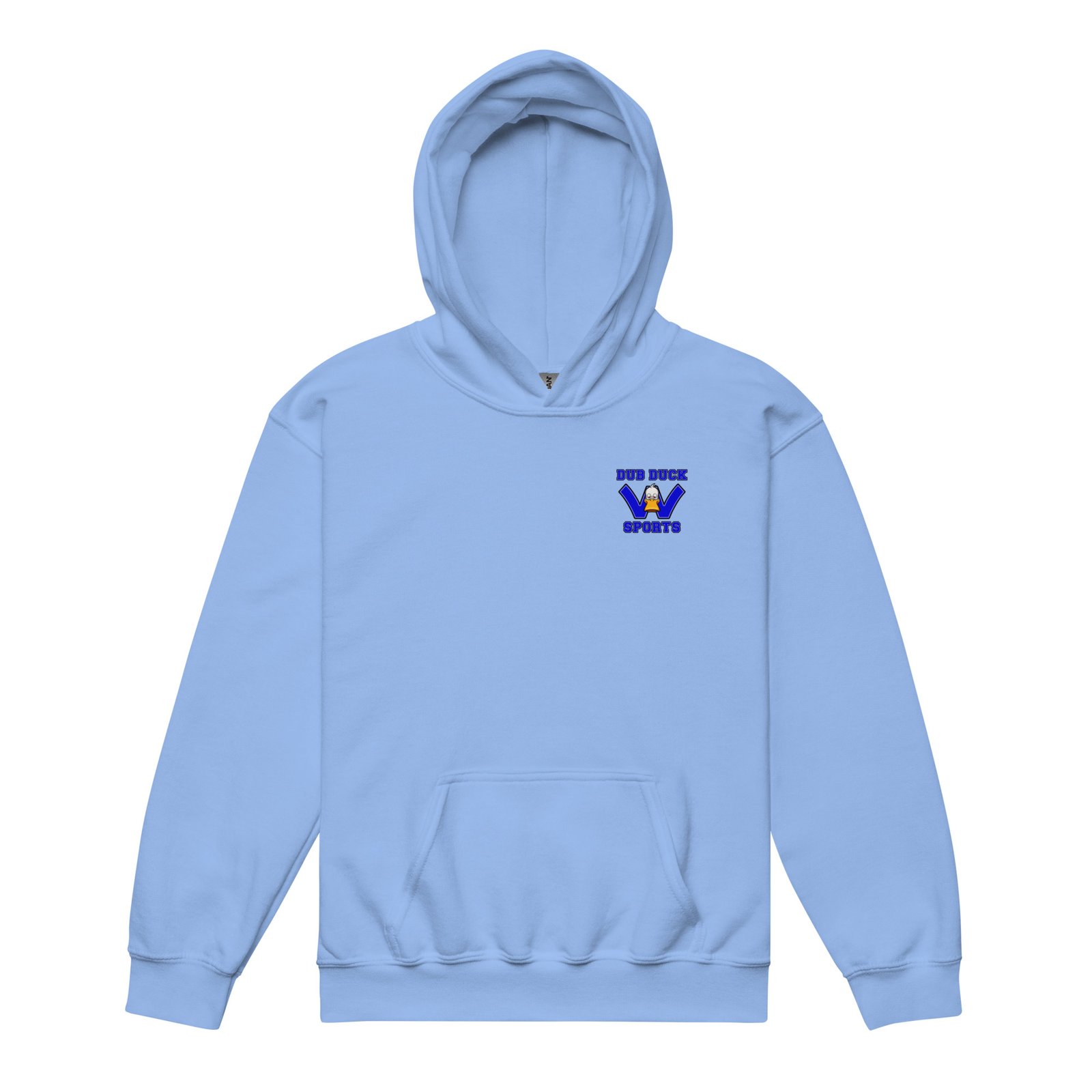 youth-heavy-blend-hoodie-carolina-blue-front-68e01b50786ab.jpg